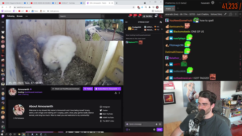 Hasan automodded in Amouranth's stream
