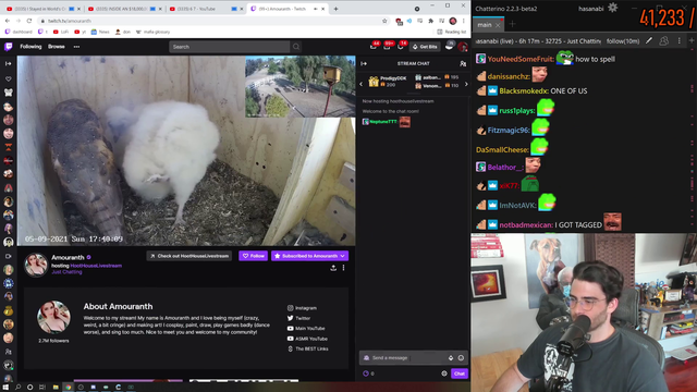 Hasan automodded in Amouranth's stream