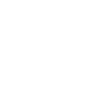 Zedd