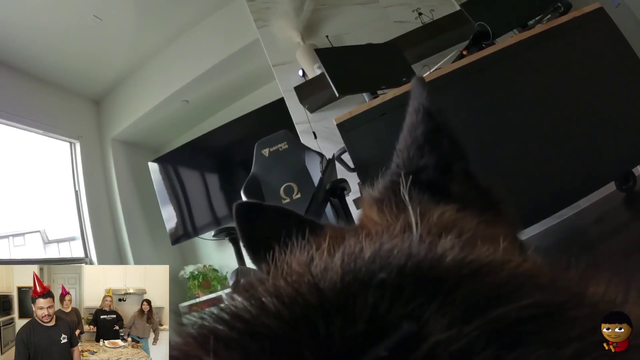 Buddy (the dog) does like Nick & Malena’s song for 25 gifted subs