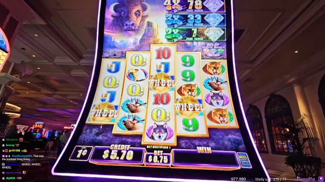 Jinny hits the jackpot