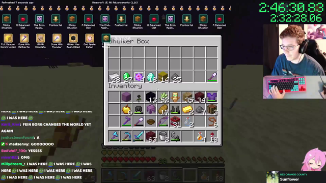 Feinberg obliterates the minecraft All Advancements World record by 11 mins, 2:33:02 in game time
