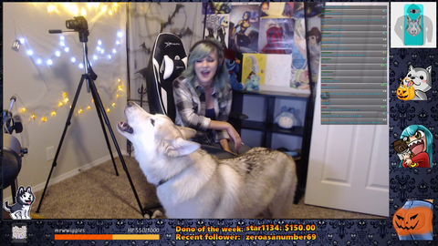 Dog steals the show (Kills the last note) POG