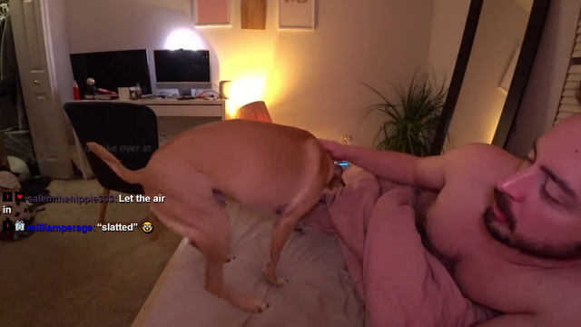 Dog gets annoyed and almost bites streamer in the face