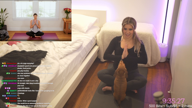 Dog does yoga with streamer