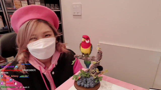 Korean streamer lost to a bird