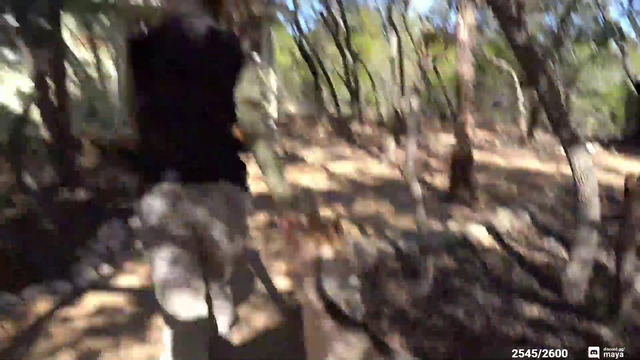 Goat Fight