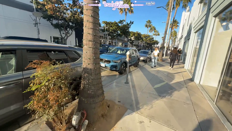 LadyDima gets jumpscared by LA npc