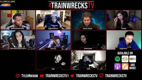 xqc asking the important questions