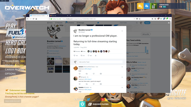 Seagull becoming a full time streamer + Ninja impression
