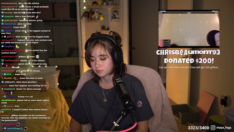 maya gets an interesting donation