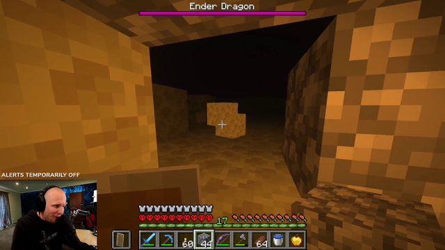 Quin meets the Ender Dragon