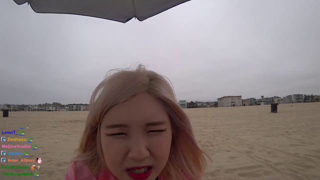 Hachu sits down to relax at the beach