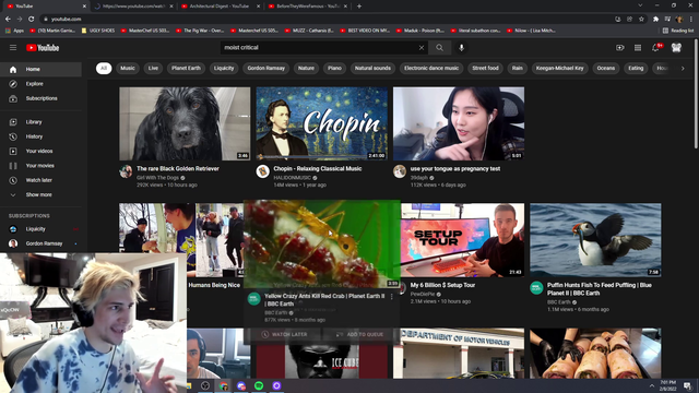 xqc reacts harder