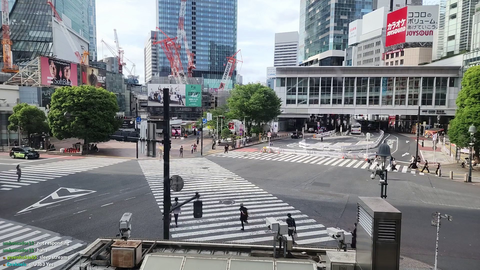 Joey does 30+ hours IRL stream. Chat thinks hes asleep but is seen on Shibuya Crossing doing naruto run