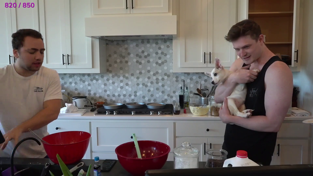 the reason miz wants the dog