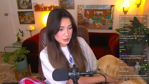 smol pupper wants to sit on streamers lap