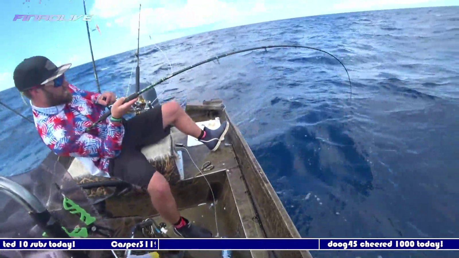 Amberjack fish gets eaten by a shark whilst fighting