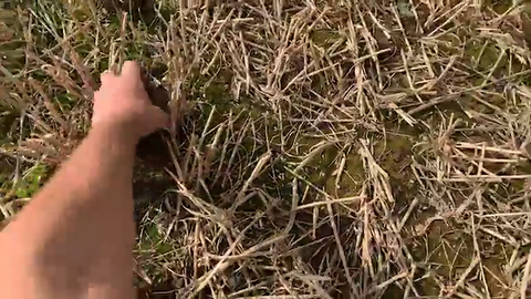 Metal detectorist finds ancient medieval coin