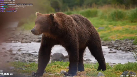 Large male grizzly comes within about 20ft of Maya, Adapt and crew in Alaska