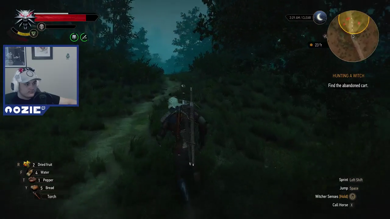 The Witcher Should Really Rename Some Enemies