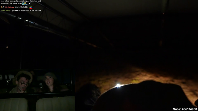 Maya and Adapt encounter a hippo at night time