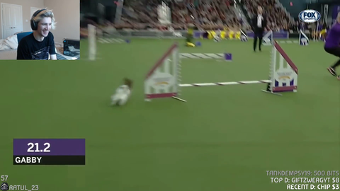 Alinity's mom participates in a dog show