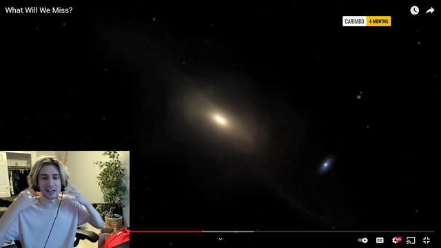 XQC makes a good point