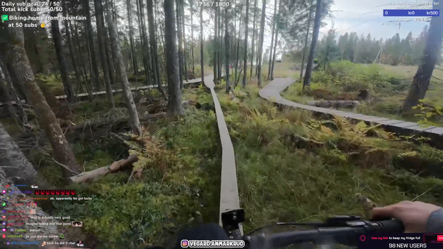 Vangard the mountain biker… or lumberjack?