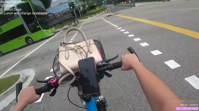 Why Singaporean streamer can't spell . . .