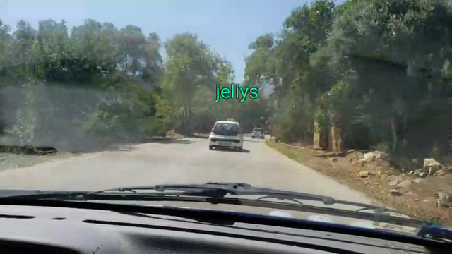 Greek driving monkaS