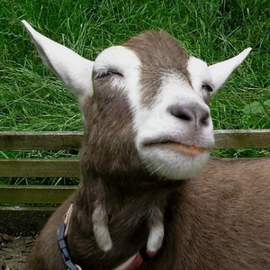 goatsandgardens
