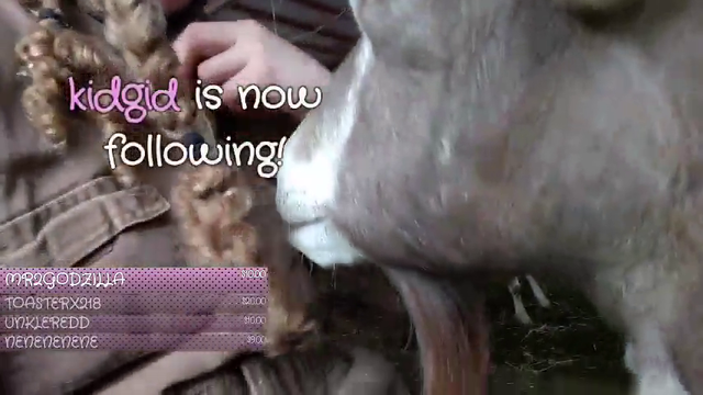 Jelly the Goat figures out how zippers work.