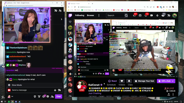 Pokimane apologizes for how her words came across