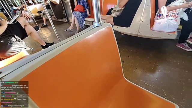 Passenger Pulls E-Brake on NYC Subway