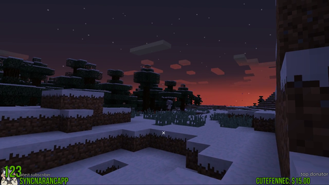 Poke Gets Spooked in Minecraft