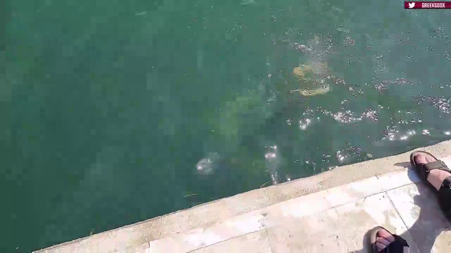 Greek dives into water to find tourists lost gopro