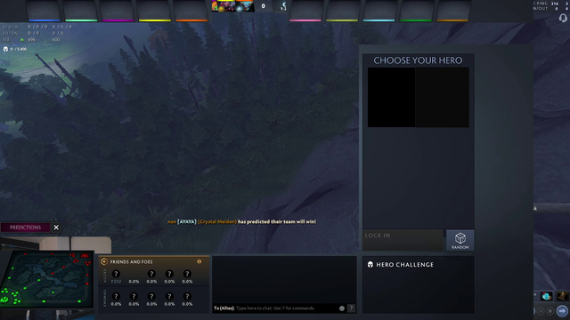 Dota player makes a special plead to his fellow teammates