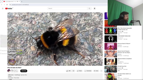 Forsen's Bees