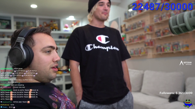 Mizkif apologizes to Mitch