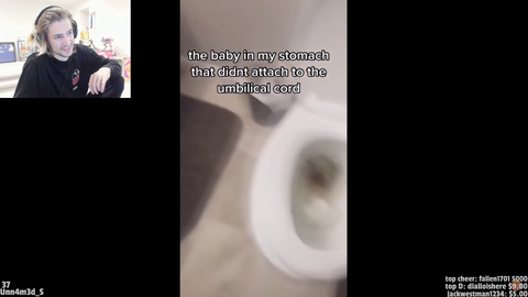 xqc watches tiktok again
