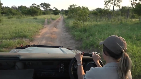 Lauren gets up close and personal with a black mamba - Wild Earth