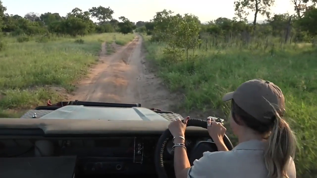 Lauren gets up close and personal with a black mamba - Wild Earth