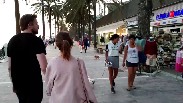 Dog leads Reckful to harmonica man.