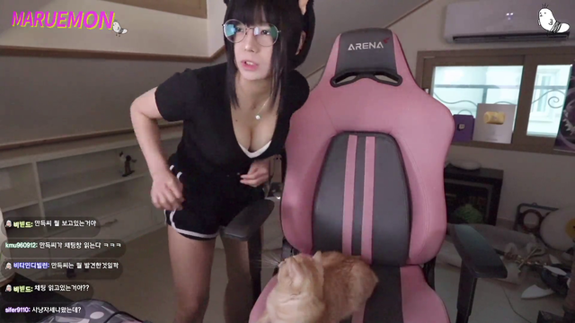Cat asserts its dominance.