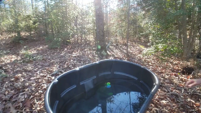 VaN takes a cold bath