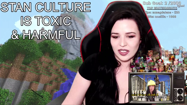 Kaceytron calls out Minecraft stans on their performative activism/wokeness