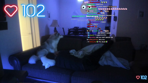 hamlinz gets rolled by tts during sleep stream