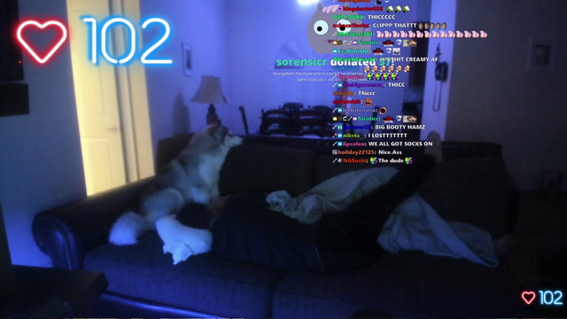 hamlinz gets rolled by tts during sleep stream