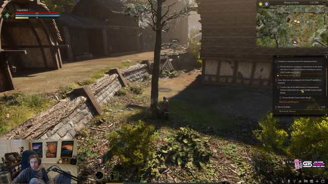 New mmo expierence